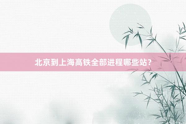 北京到上海高铁全部进程哪些站？