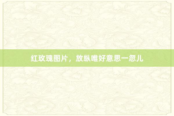 红玫瑰图片，放纵唯好意思一忽儿