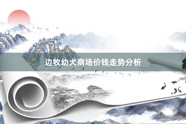 边牧幼犬商场价钱走势分析